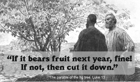  Is your life fruitful?