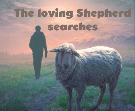 The loving Shepherd searches